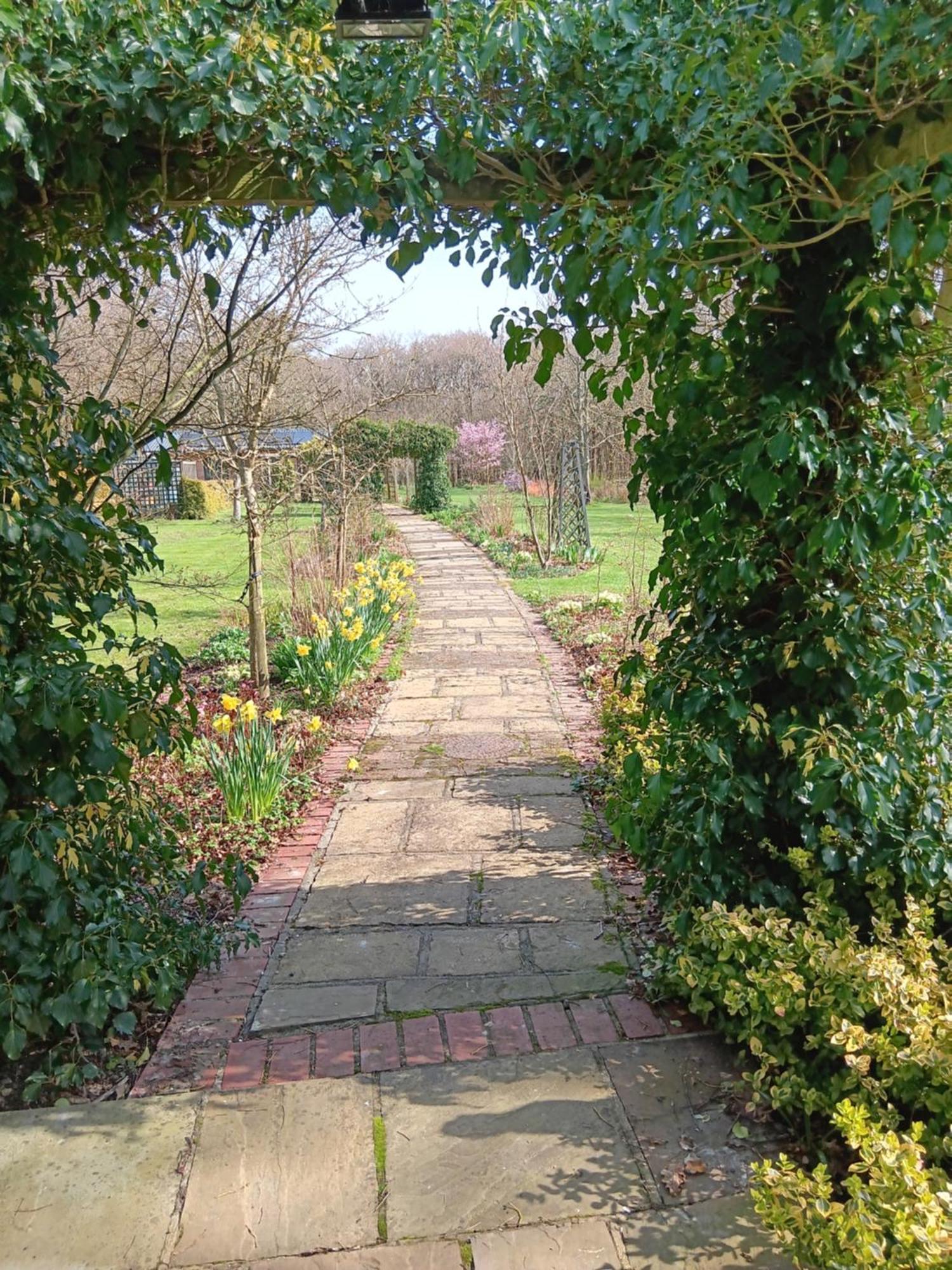 The Barn - Quiet Location Villa Ashford  Bagian luar foto